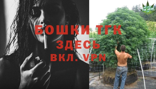 стаф Пестово