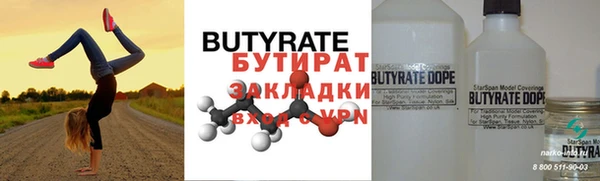 гидра Ельня