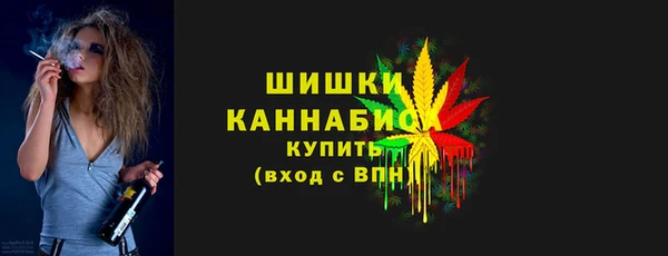 прущие крисы Пересвет