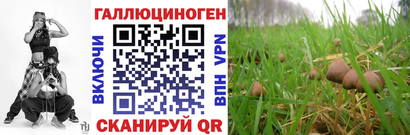 Псилоцибиновые грибы Cubensis kraken онион Полесск